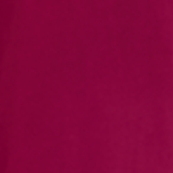 Baies fuchsia