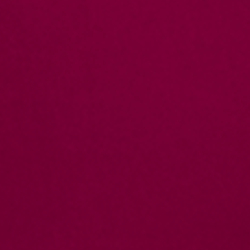 Baies fuchsia