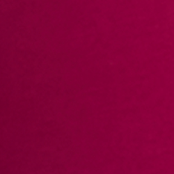 Fuchsia Berry