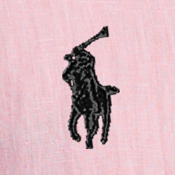 Rosa camel