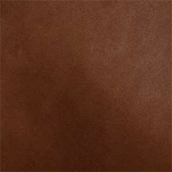 Hughes Leather - Cafe