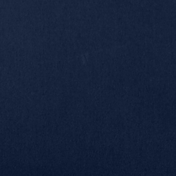 English Riding Velvet - Midnight